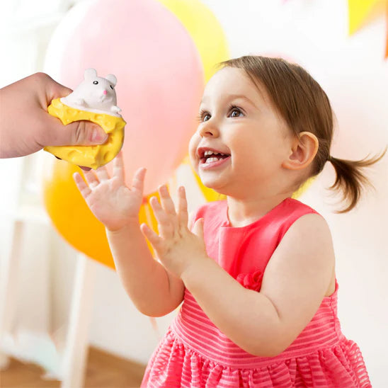 SQUISHY| SOURIS & FROMAGE🐭