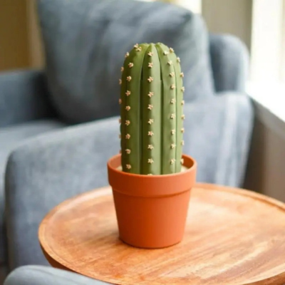 plateau d’échec original| CACTUS🌵