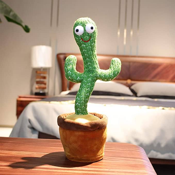 CACTUS DANSE